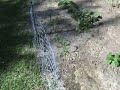 vegetable garden Pt. 5 vegetable garden Pt. 5