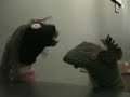 The Mountain Goats: Dance Music
