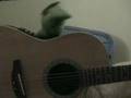 The Mountain Goats: Dance Music