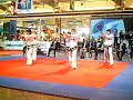 TAEKWON-DO PERTUSO TEAM