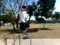 videos de T