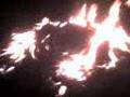 perro caliente en la urb zapara 2