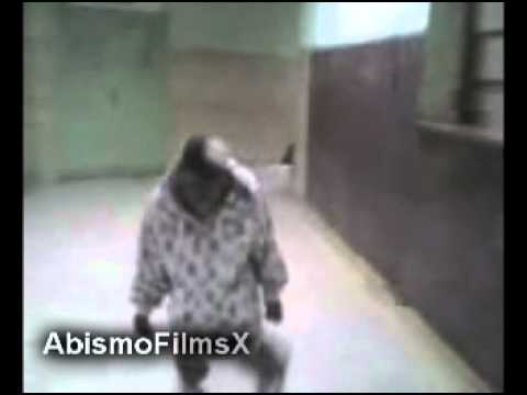 recopilacion de terror DDT destructor de trucos (2) especial de brujas