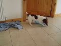 Bottler