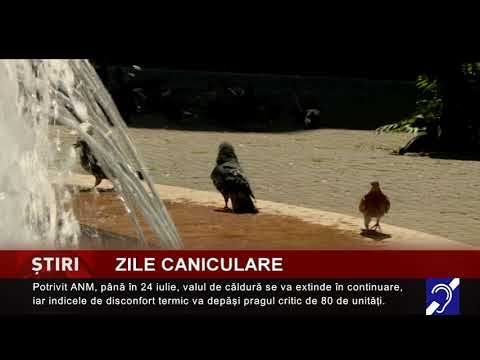 Zile caniculare