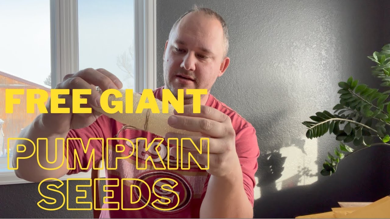 FREE Seed Update. Send your request!