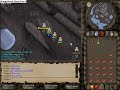 White knights
