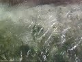 Creta: la gelida acqua dolce delle montagne si perde in mare