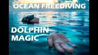 Dolphin dream with Lidija Lijic