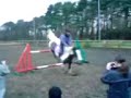 jumping 1m20   queenie traditional cob : 