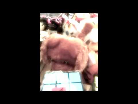 Imagen de previsualización de YouTube