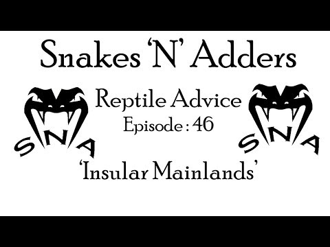 YouTube reptile video