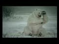 Global Warming and Ice Bear