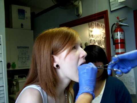 venom piercing. Length: 6:6; Rating Average: 4.59434' max='5' min='1' numRaters='106' rel='http://schemas.google.com/g/2005#overall from people; View Count: 