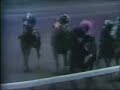 Bold Forbes - 1976 Kentucky Derby