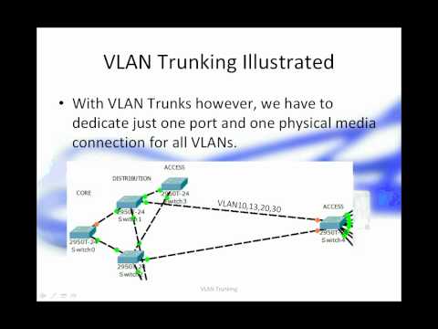 how to know my vlan