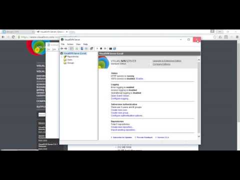 How to Setup VisualSVN Server ?