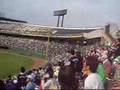 ヤクルトスワローズ　岩村　宮本　真中　応援歌