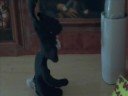 My First claymation