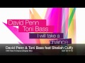 David Penn&Toni Bass featuring Sheilah Cuffy - I Will Take A Chance - Urbana