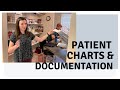 A Patient's Chart Or Medical Records Are Owned By: