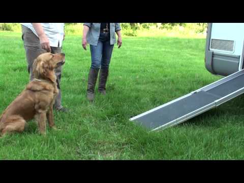 Hunderampe Teleskoprampe PetWalk - HUND-unterwegs.de