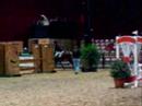 indoor boertjes concours hardenberg indoor boertjes concours hardenberg