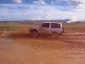 jaca rustiqueando en la gran sabana