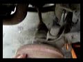 Bug broken axle