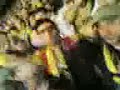 sariii ,laciveeerrt, sampiyon, fenerr. sariii ,laciveeerrt, sampiyon, fenerr.