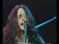 Budgie  who do you want for your love