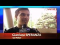 TG POKER Speciale People's Poker TOUR 2011 Nova Go Guarda video