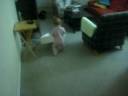 Ela the mover Ela the mover