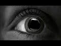 Pioneer Kuro TV - Mouth