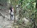 aqui un video de la caida de silvia torres montes en la laguna la maria en comala col. editado por francisco javier jacobo torres