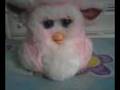 Furby