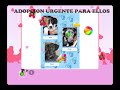 Adopta en San Valentin