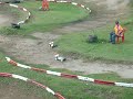 Thailand Buggy Party ???? 6/2008 RC Mania