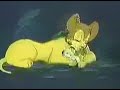 kimba  birth of cubs