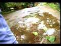  - MovieZen Video