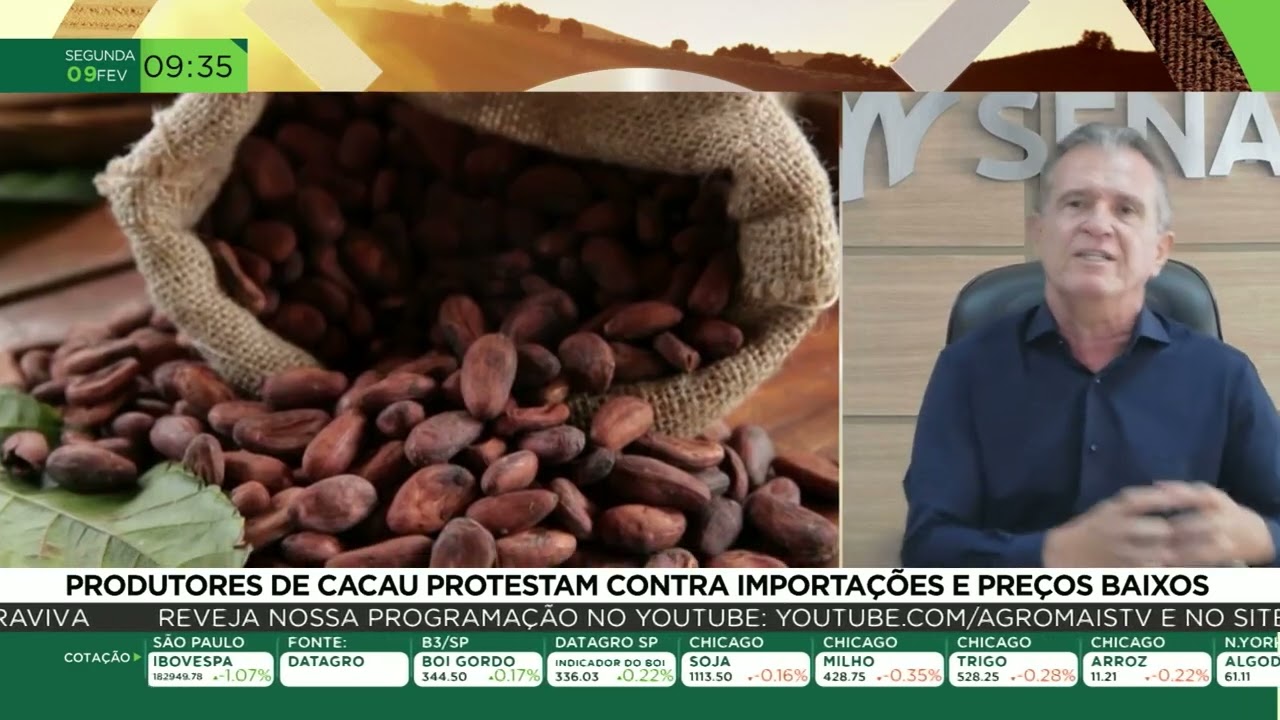 Produtores de cacau protestam contra a importações e preços baixos