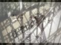 The Whammy Boys Kidnap the Sandy Claws