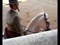 vuelta al ruedo huerta de rey