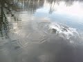 brochet aux leurres d�croch�