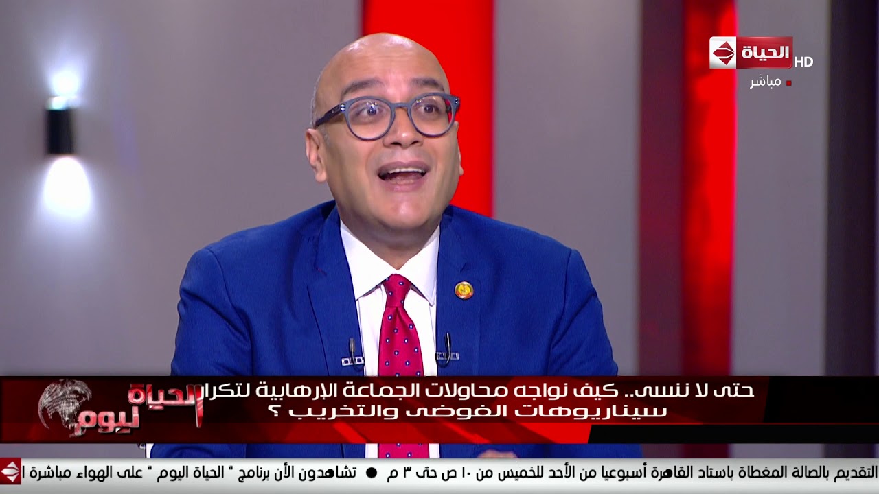 الحياة اليوم - أحمد قمحة: الدولة المصرية أثبتت صلابتها وفضحت مخطط الجماعة أمس في وقت قصير