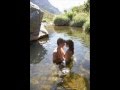 Para atrair um grande amor