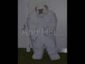 My Wampa Trailer