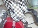 Bionicle Adventures 5 part 1 of 2: Captured