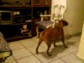 MOV00140 MOV00140