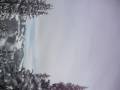 videos de MVI 1499